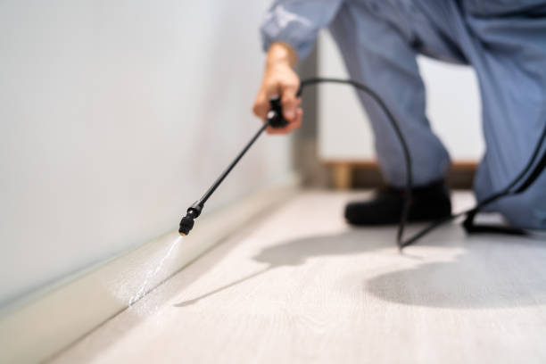 Licensed Cockroach Control service in Springfield, GA - Nex Pest Control