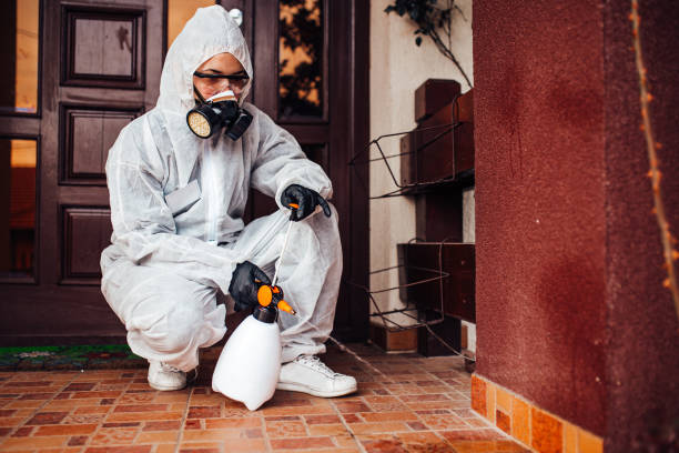 Reliable Cockroach Control contractor in Springfield, GA by Nex Pest Control