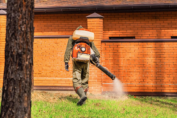 Top rated local Cockroach Control specialists in Springfield, GA